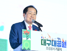 “난파선 쥐떼와 정치 낭인들”…홍준표, 당내 갈등 연일 비판