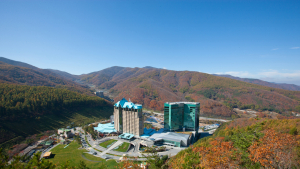 강원랜드, 하반기 신입·경력 62명 공개 채용…폐광지역 우대 지속