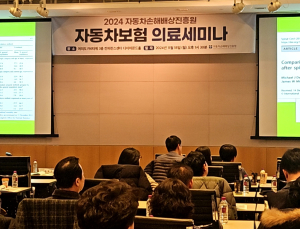 “차보험 의료자문 ‘손배심위’, 법적 지위 확보 추진할 것”