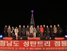 '하늘에 영광, 땅에는 평화' 충남도청 남문 광장에 성탄트리
