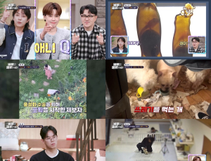 ‘동물은 훌륭하다’ 장도연, 길고양이 공생 사연에 감동 “마음 따뜻해져”