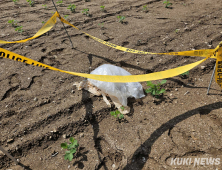 北, 오물풍선 10일만에 재차 살포