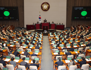 임신 32주 전에도 태아 성별 고지 가능…의료법 개정안 국회 통과