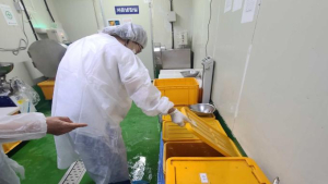 부산시, 김장재료·김치 제조업소 합동점검···식품위생법 위반 7곳 적발