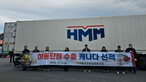 하동군, 하동 단감 캐나다 수출 시작...18톤 선적