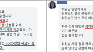 “계엄으로 금감원 자금 출처 조사 중입니다” 사기 주의보