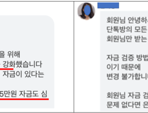 “계엄으로 금감원 자금 출처 조사 중입니다” 사기 주의보