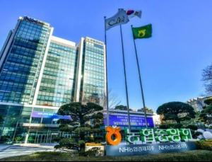 NH농협금융 임추위 오늘 열린다…대규모 ‘세대교체’ 예고