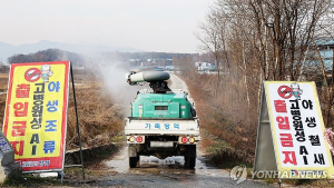 충남 청양서 고병원성 AI 의사환축 발생