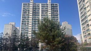 1기 신도시, 또 다시 안갯속…승자의 저주 없어야 [취재진담]