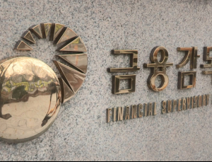 이수페타 등 유상증자 반려한 금감원, 속내는 