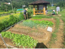 부산시, 2025년 고향사랑기부제 답례품 24개 품목 선정