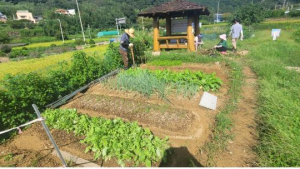 부산시, 2025년 고향사랑기부제 답례품 24개 품목 선정