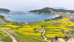 한국 관광의 별 완도 ‘청산도’