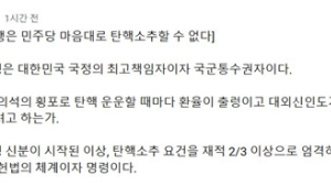 주진우 “대통령권한대행, 민주당 마음대로 탄핵소추 안돼”