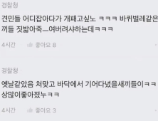 ‘견민’ 남태령 시위대 조롱한 경찰 블라인드…게시자 수사 착수