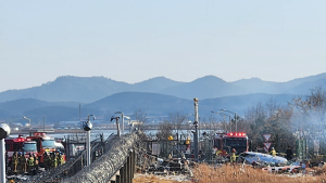 조류 충돌 후 랜딩기어 고장…동체 착륙 중 사고 가능성