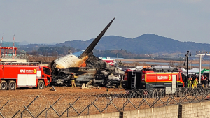 [속보]무안공항 항공기 사고 사망자 120명