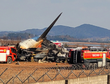무안공항 항공기 사고 사망 174‧실종 5‧구조 2명
