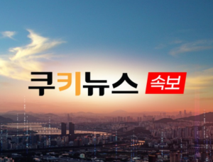 [속보] 국토부, 참사기종 ‘보잉 737-800’ 전수 특별점검