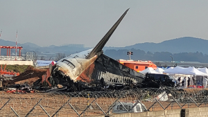 제주항공 여객기 추락 179명 사망…141명 신원 확인