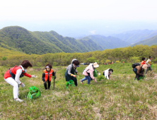 경북도, ‘돈되는 산으로’…임산업 육성 본격화