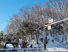 첫눈처럼 설렘 가득 ‘눈꽃여행’