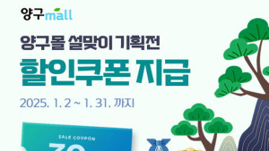 양구 온라인 쇼핑 '양구몰' 설맞이 기획전…30% 할인 