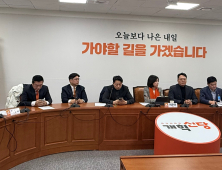허은아 개혁신당 대표 “재보궐 공천관리위원장 공모제안”