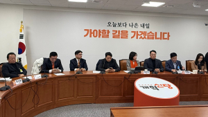 허은아 개혁신당 대표 “재보궐 공천관리위원장 공모제안”