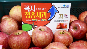청송군, ‘부자되는 청송농업’ 비전 발표…1155억원 투입