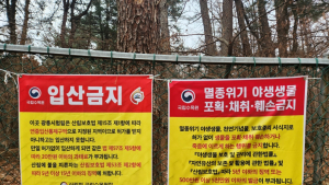 국립수목원, 광릉숲 내 불법행위 집중 단속