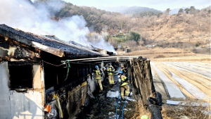합천 야로면 돈사 화재…돼지 780여마리 폐사