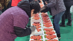 어떤게 맛있을까?