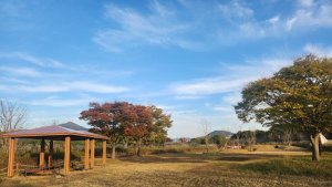 낙동강관리본부, 을숙도에 유아숲체험원 조성완료…4월부터 운영