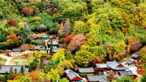 화개장터⋅쌍계사, 한국 관광 100선에 빛나다
