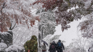 설 전날 영하권 강추위…눈보라 이어져 [날씨]