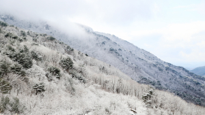 설경이 아름다운 의령 자굴산