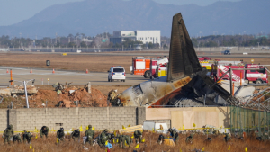 무안공항, 1만 운항당 조류충돌 22.23건…인천공항 10배