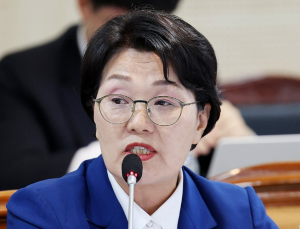 무안공항 조류충돌 발생 인천공항의 9배…“예방조치 강구해야”