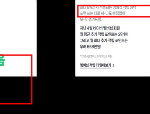 ‘기만 광고’ 네이버 시정명령…유료 멤버십 혜택 부풀려