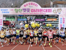 합천벚꽃마라톤대회, 전국을 대표하는 메이저급 마라톤대회로 자리매김