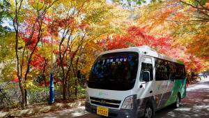 인제군, 어르신 무상교통 큰 호응…1년만에 10만건 훌쩍