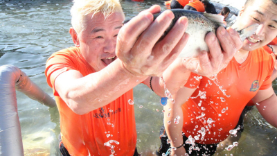 [연속기획③]'산골마을 기적' 산천어축제 재방문율 56.6%…성장동력 확보