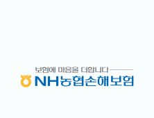 농협손보 지난해 순익 1036억원…전년比 8.6% 하락