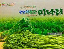 창녕 화왕산 미나리, 본격 출하 시작