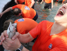 [연속기획④]산골마을 기적…산천어축제 외국인들도 '엄지 척'