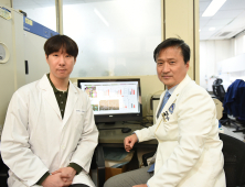 “뇌졸중으로 손상된 신경, 염증반응 조절해 기능 회복”