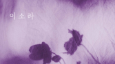티켓링크, 이소라 봄 콘서트 ‘봄 밤 핌’ 티켓 판매