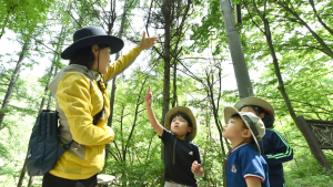 청송군, 2025년 산림정책 발표…경제·환경·복지 아우르는 숲 조성